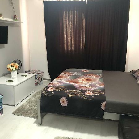Băile HerculaneGarsoniera Aleea Trandafirilorアパートメント エクステリア 写真