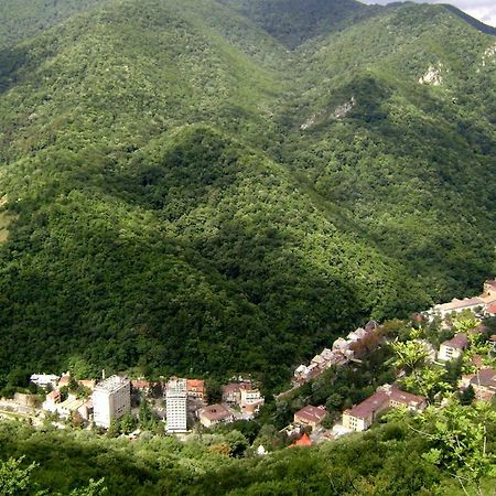 Băile HerculaneGarsoniera Aleea Trandafirilorアパートメント エクステリア 写真