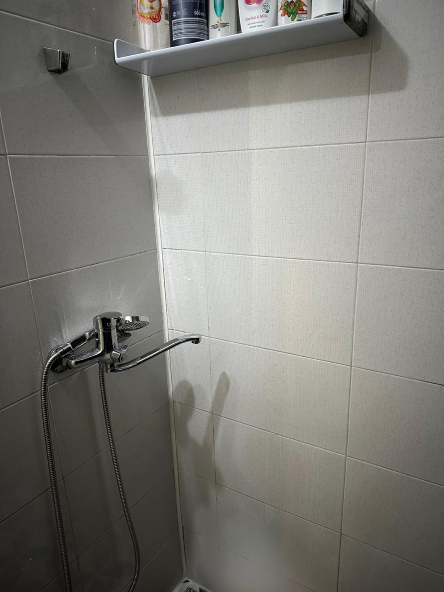 Băile HerculaneGarsoniera Aleea Trandafirilorアパートメント エクステリア 写真