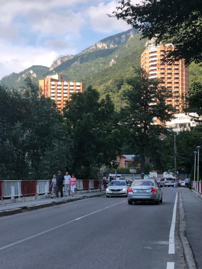 Băile HerculaneGarsoniera Aleea Trandafirilorアパートメント エクステリア 写真