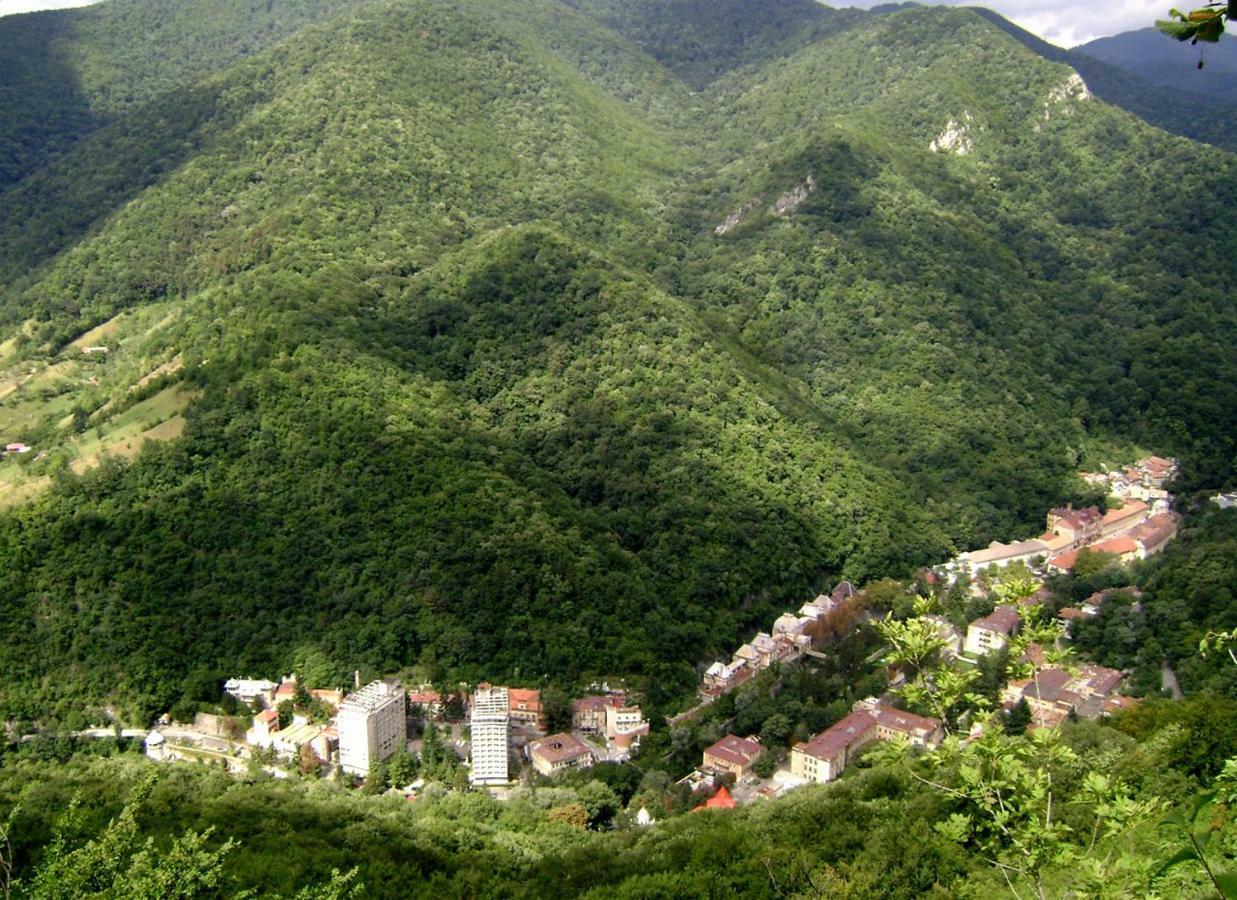 Băile HerculaneGarsoniera Aleea Trandafirilorアパートメント エクステリア 写真