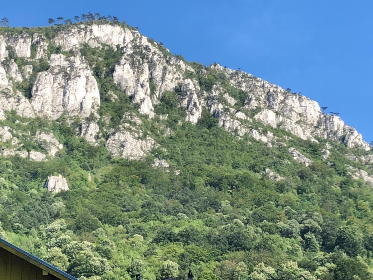 Băile HerculaneGarsoniera Aleea Trandafirilorアパートメント エクステリア 写真